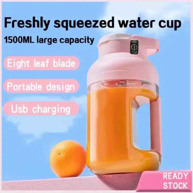 Portable 1600 ML Juicer (DM-689)