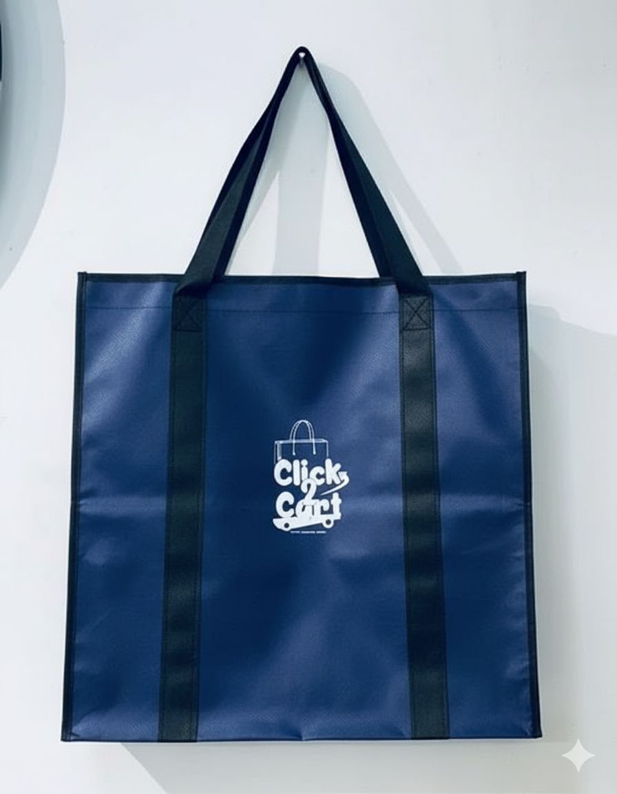 110GSM Cloths Storage Bag (2Pcs)
