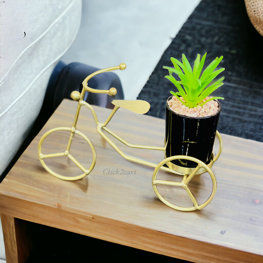 Decorative Cycle With Flower Pot