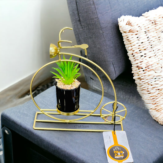 Decorative Cycle With Plant Holder