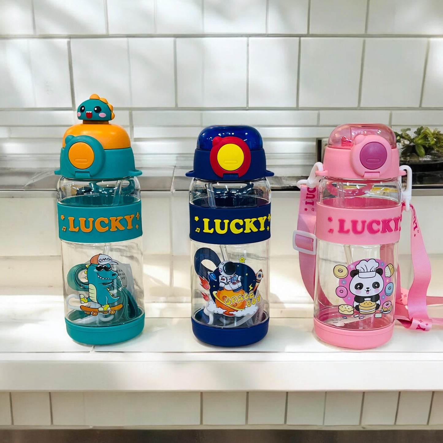 Water Bottle (700ml)