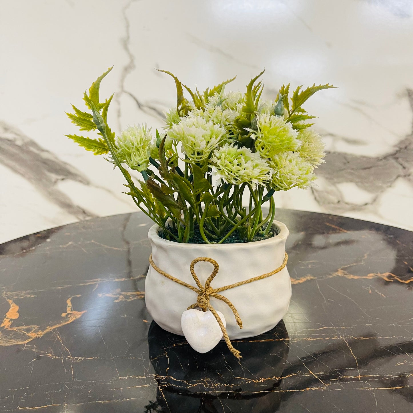 Nordic Grey Cement Flower Plant