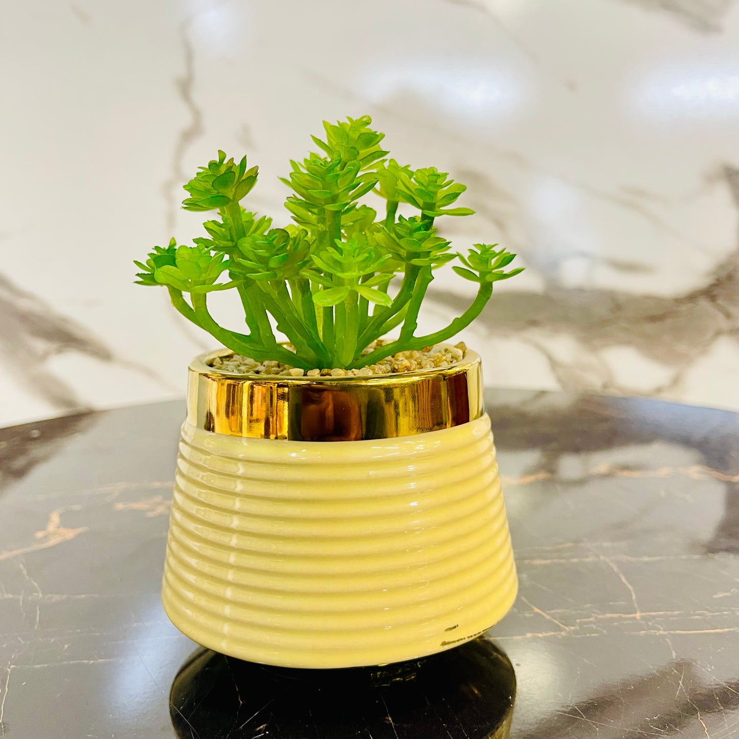 Ceramic Flower Pot