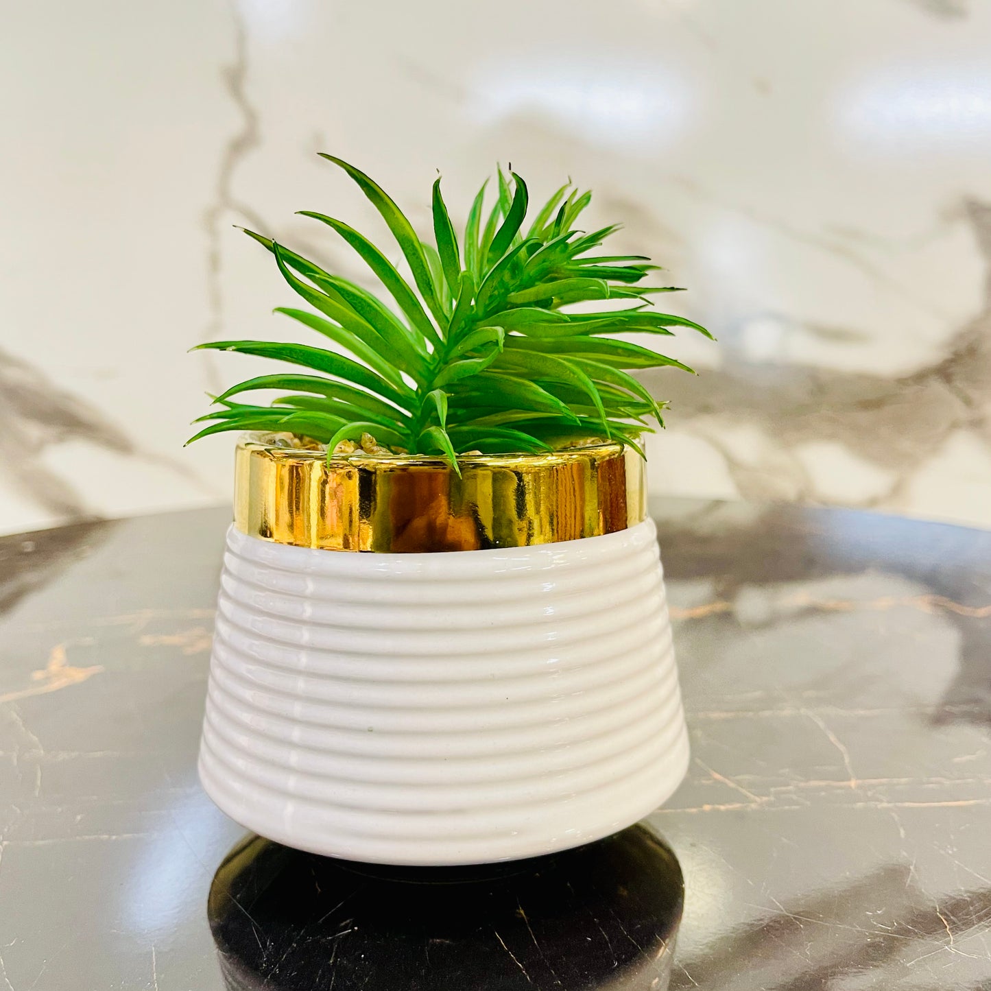 Ceramic Flower Pot