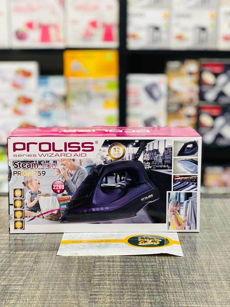 Professional Electric Steam Iron