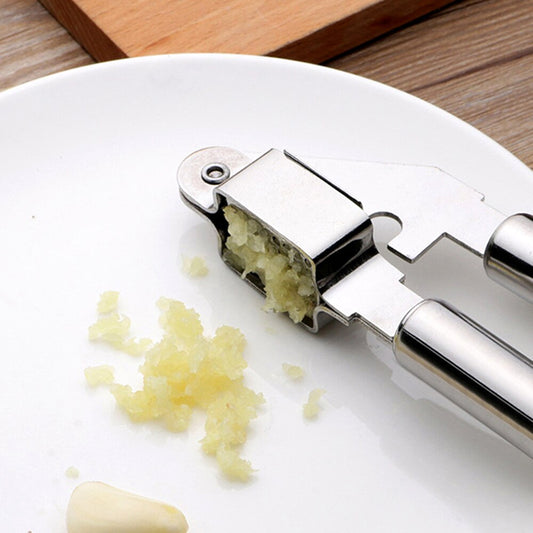 Stainless Steel Garlic Press