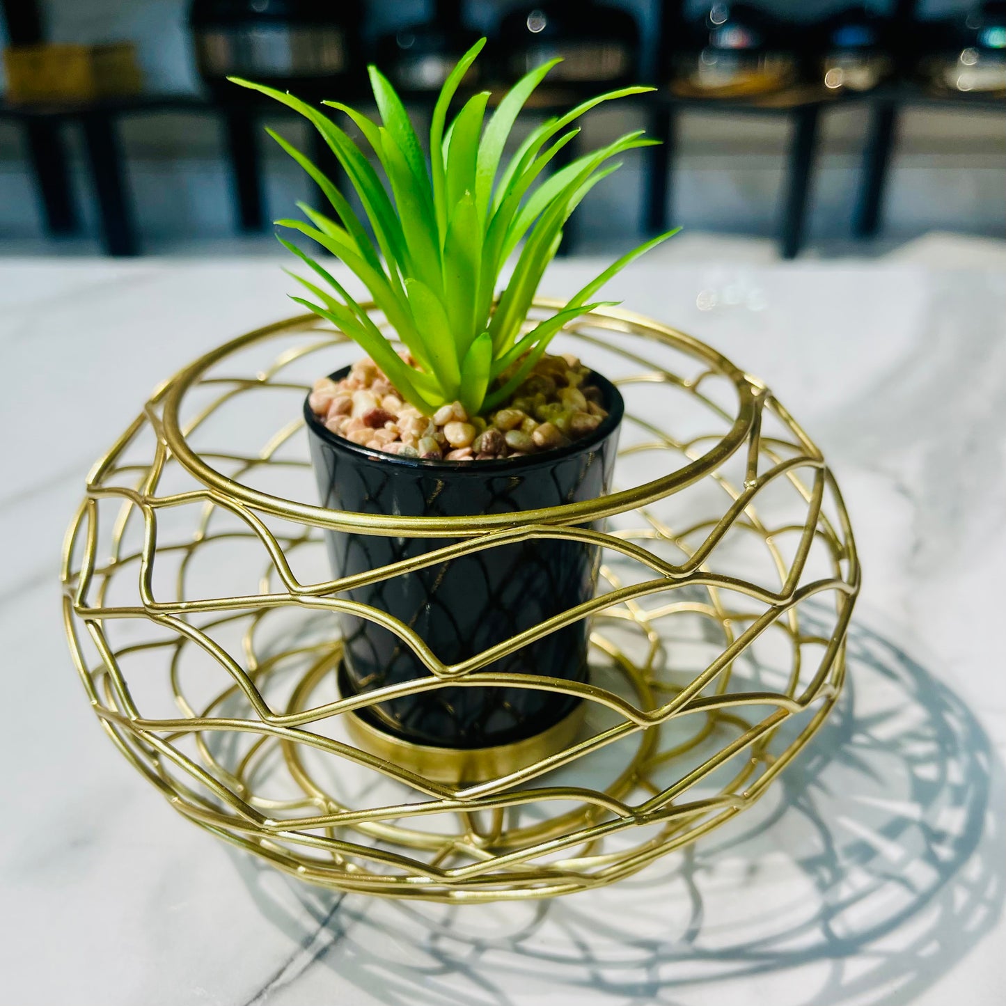 Metal Cage With Plant Holder (Small)
