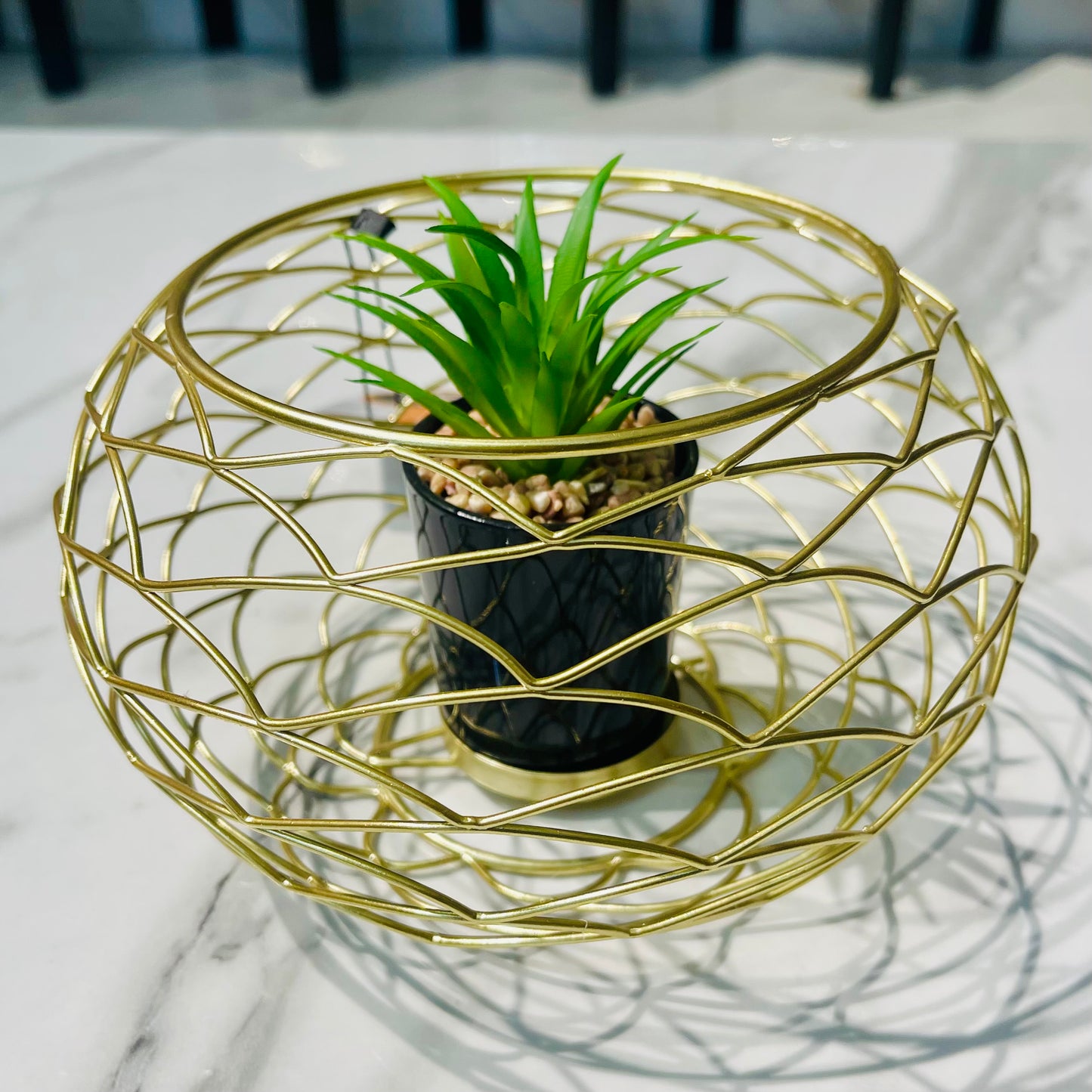 Metal Cage With Plant Holder (Large)