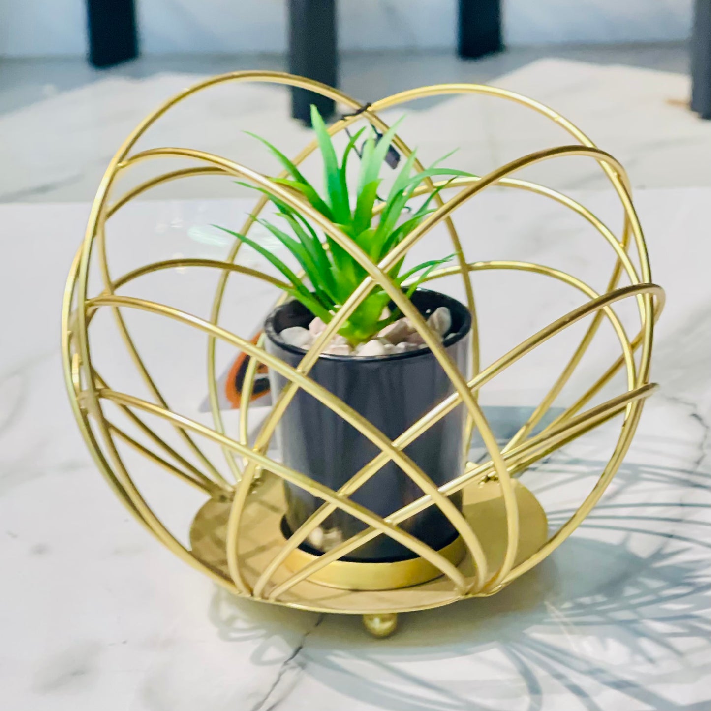 Metal Cage With Plant Holder