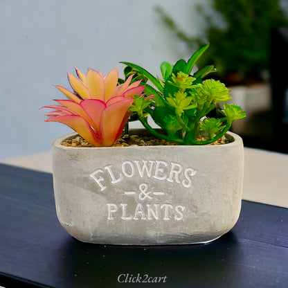 Nordic Grey Cement Flower Pot