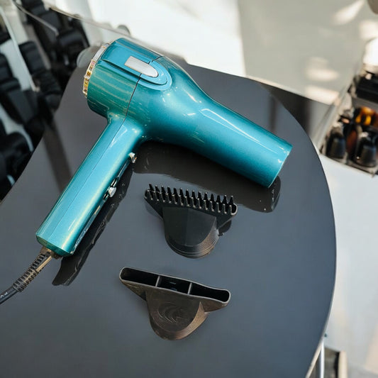 Professional Hair Dryer (P)