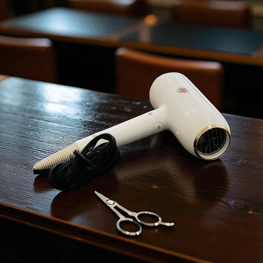 Professional Hair Dryer