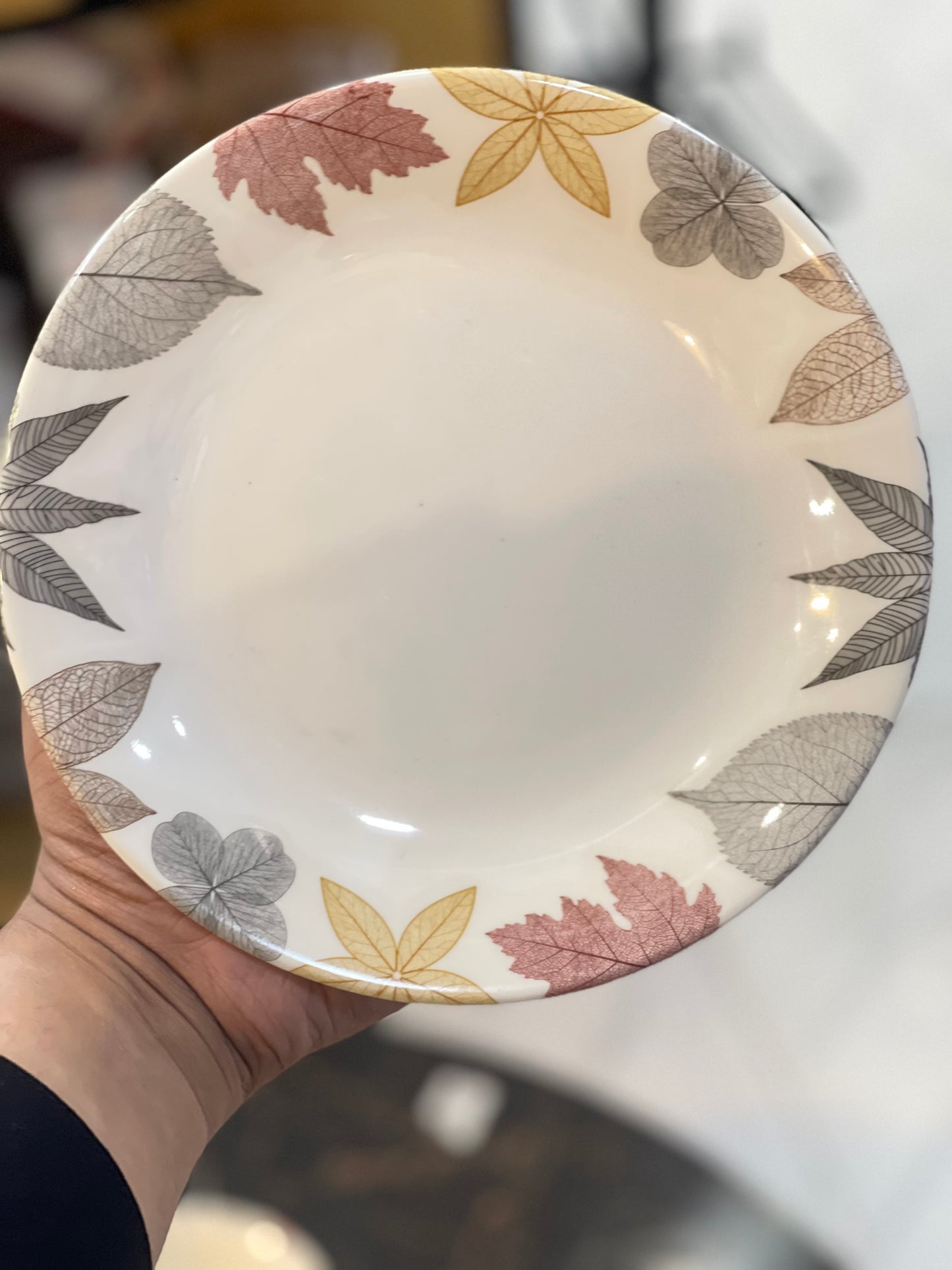 Melamine Plates & Bowl