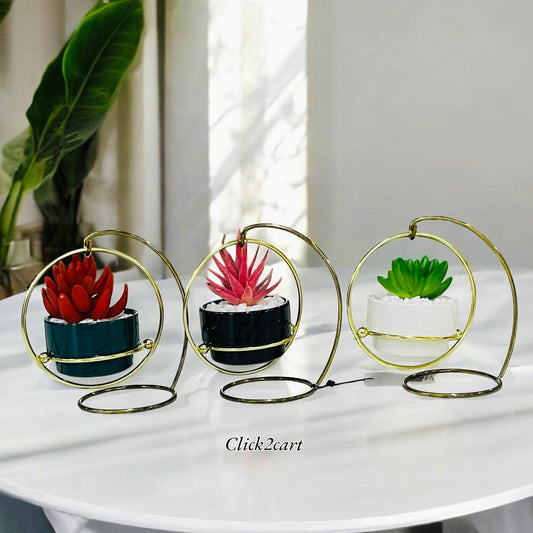 Mini Plant With Stand