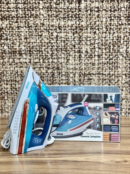 Professional Steam Iron