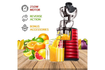 Cold Press Whole Fruit Slow Juicer