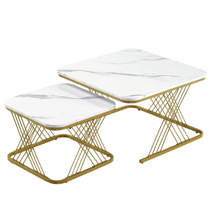 Luxury Center Table set (2pc)